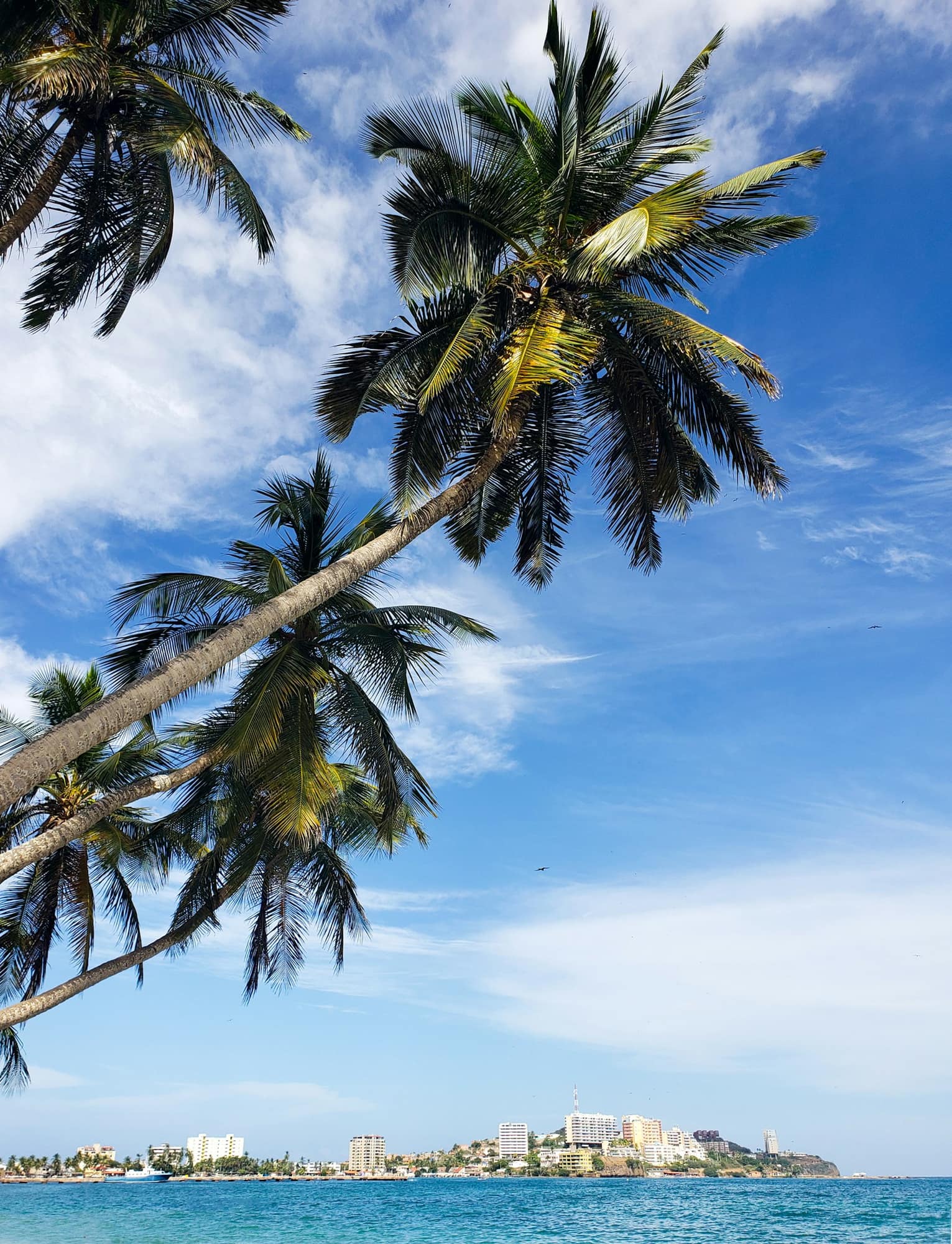 Paquete a Isla de Margarita, Nueva Esparta, Venezuela