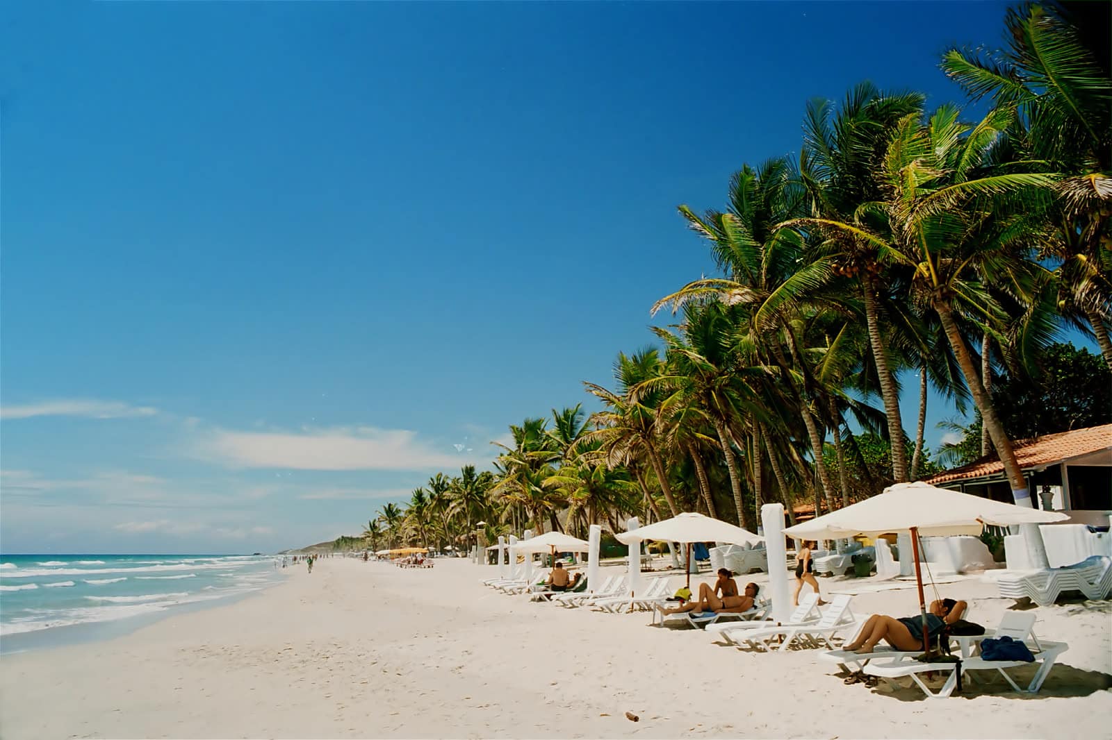 Palmeras y sombrillas sobre la arena de Playa El Agua