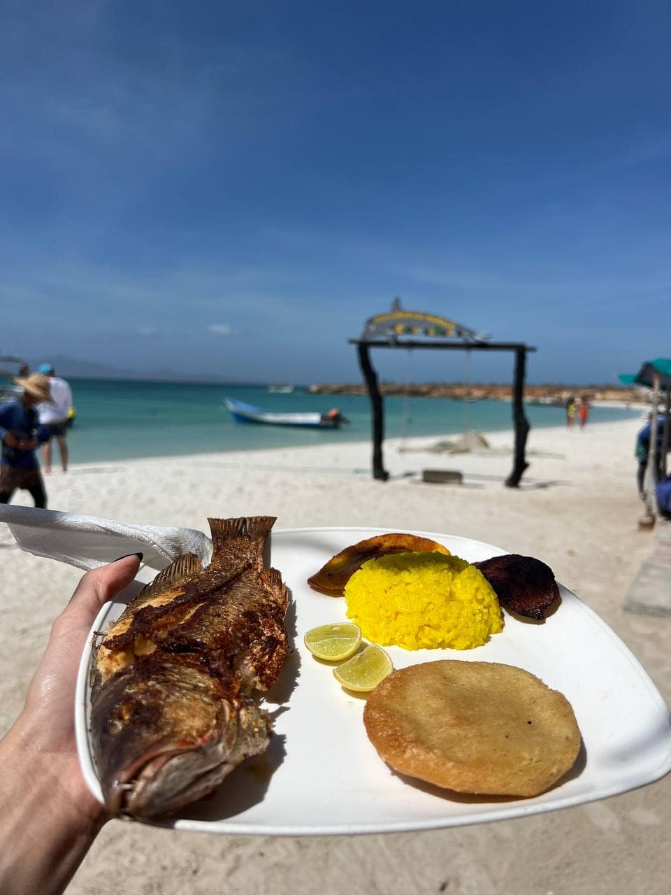 Almuerzo de pescado frito en la playa durante un full day