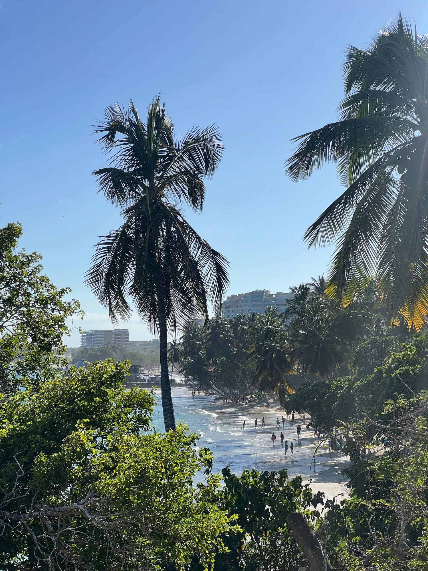 Playa de la Isla de Margarita con cocoteros y bañistas en la orilla